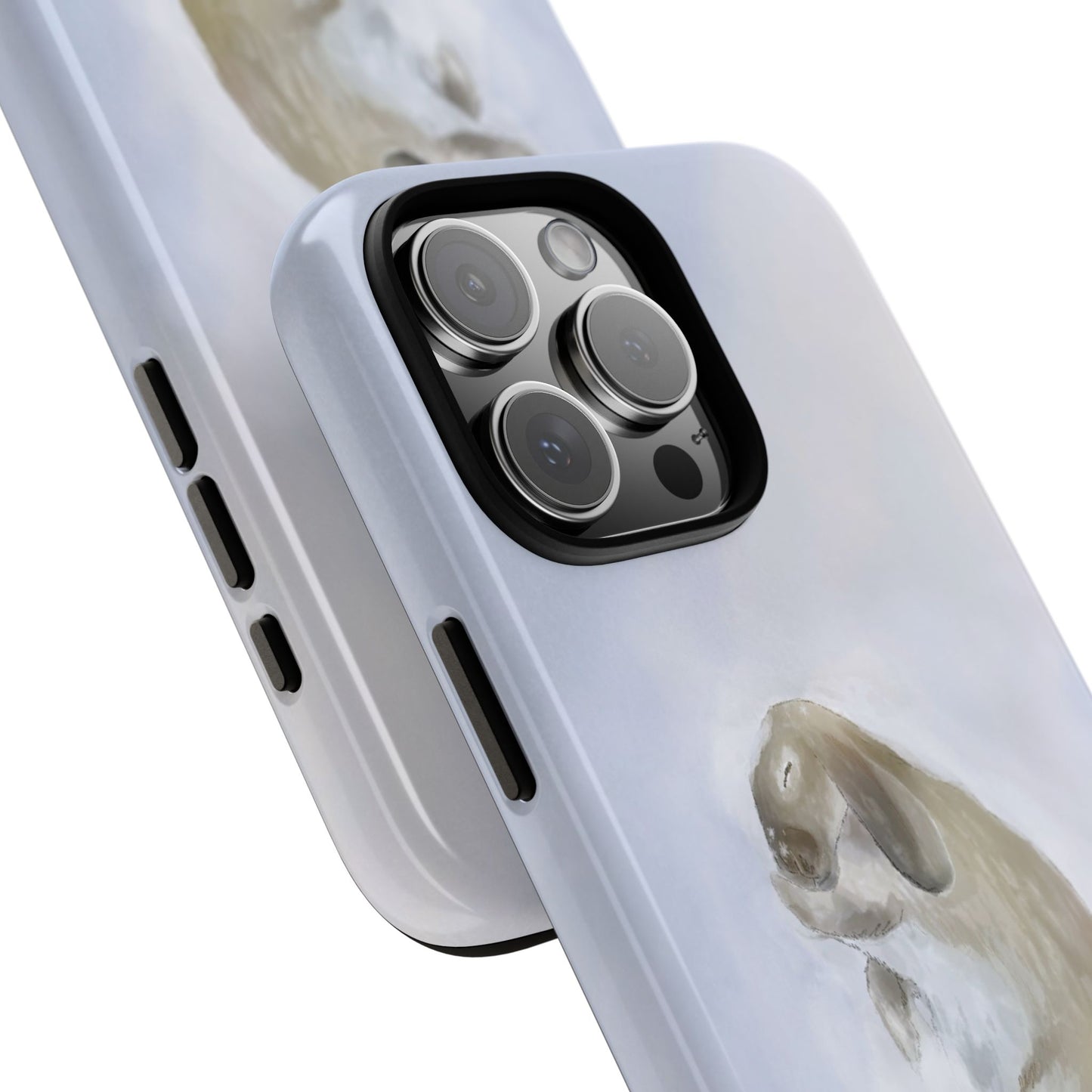 The Snowy Cottontail Case