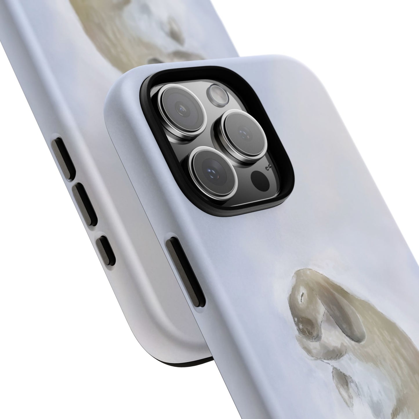 The Snowy Cottontail Case