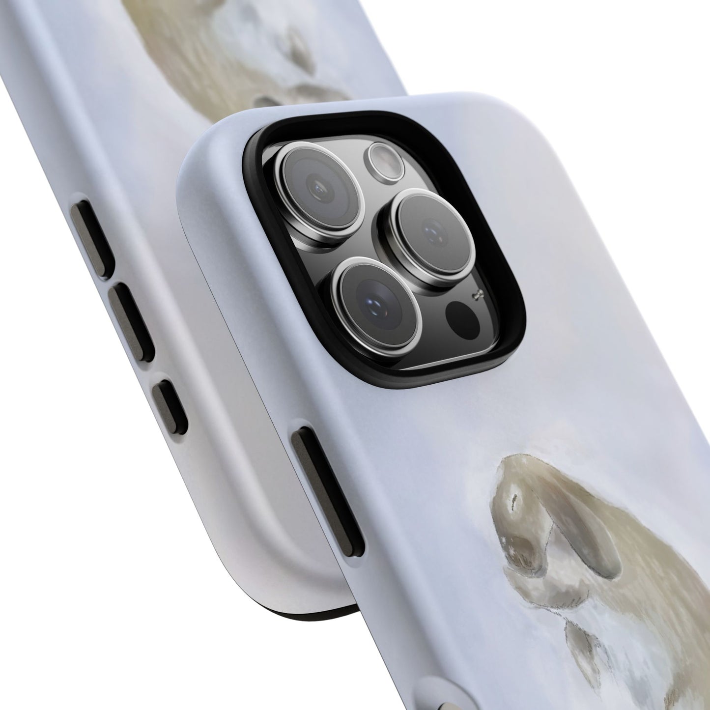 The Snowy Cottontail Case