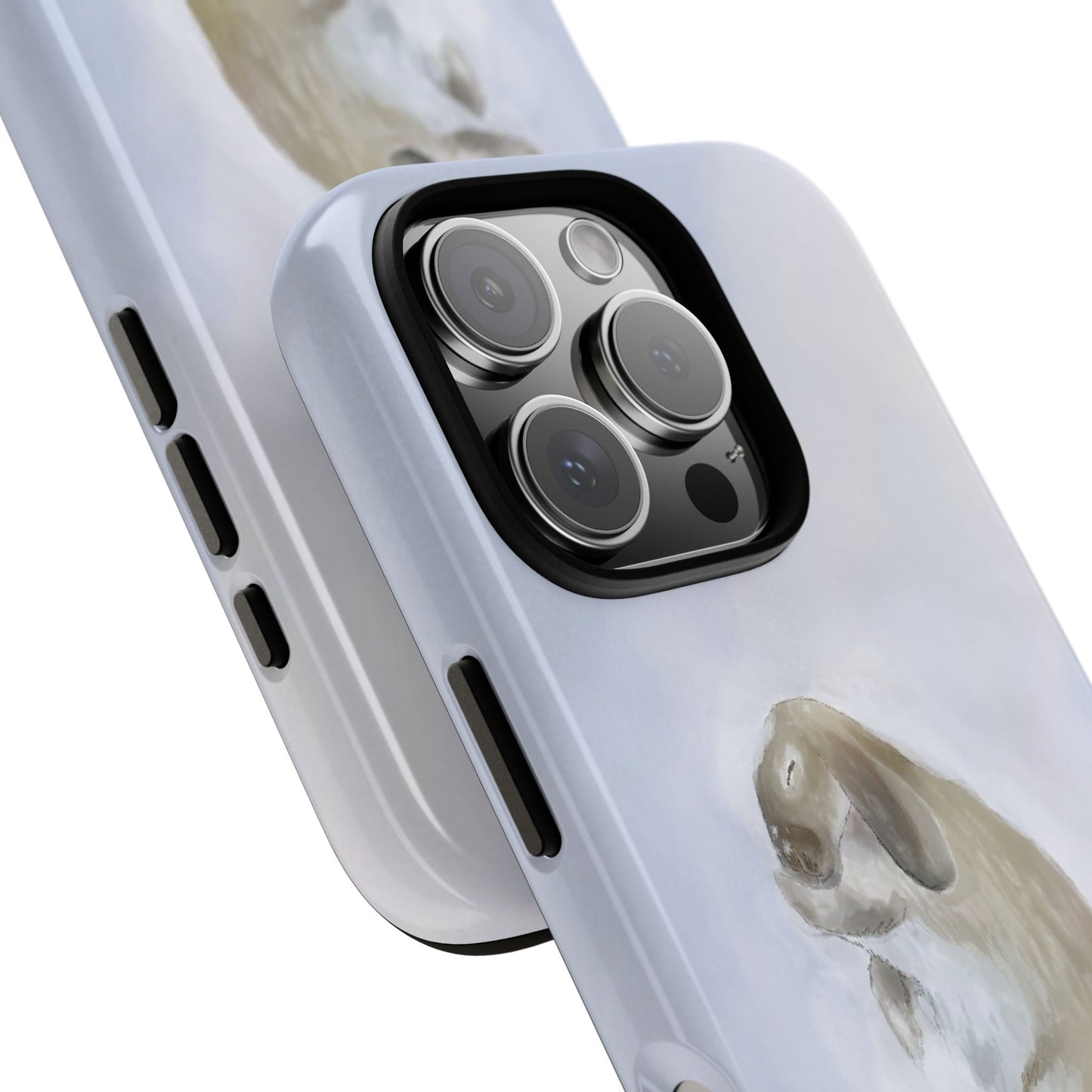 The Snowy Cottontail Case